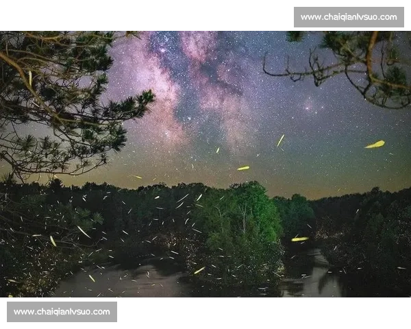 在寂静夜空下探索星河之美的星空摄影艺术之旅与自然心灵对话记录